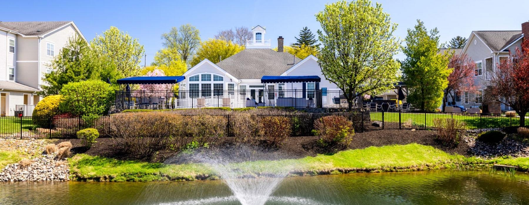 a fountain in a pond