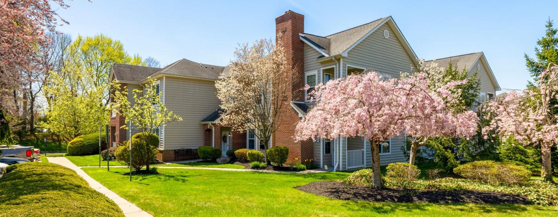 a house with a driveway and trees